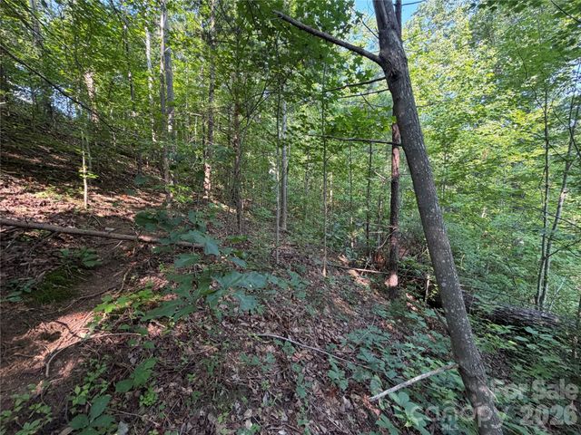 00 Holland Drive 24, Columbus, NC 28722