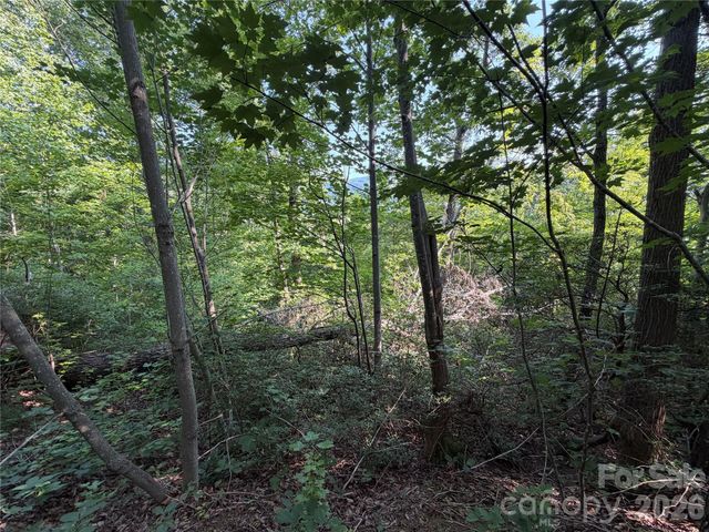 00 Holland Drive 24, Columbus, NC 28722