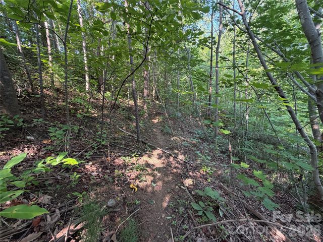 00 Holland Drive 24, Columbus, NC 28722