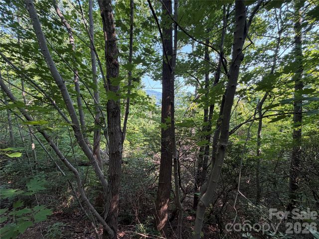 00 Holland Drive 24, Columbus, NC 28722