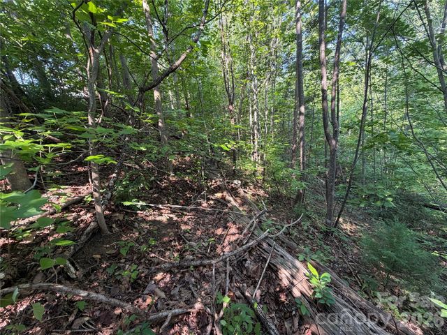 00 Holland Drive 24, Columbus, NC 28722