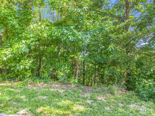 00 Holland Drive 24, Columbus, NC 28722