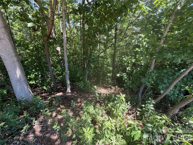 00 Holland Drive 24, Columbus, NC 28722