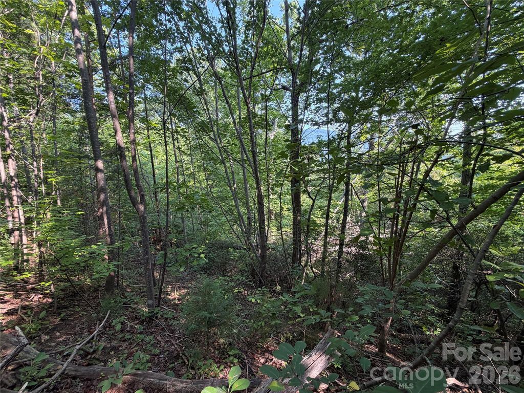00 Holland Drive 24, Columbus, NC 28722