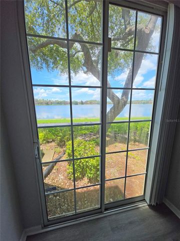 9018 LAKE CHASE ISLAND WAY 9018, Tampa, FL 33626