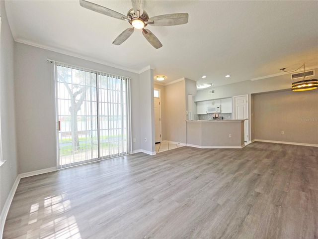 9018 LAKE CHASE ISLAND WAY 9018, Tampa, FL 33626
