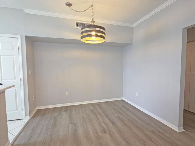 9018 LAKE CHASE ISLAND WAY 9018, Tampa, FL 33626