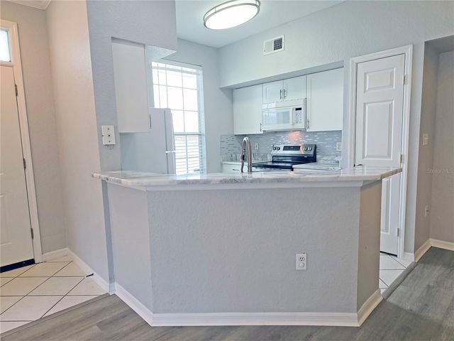 9018 LAKE CHASE ISLAND WAY 9018, Tampa, FL 33626