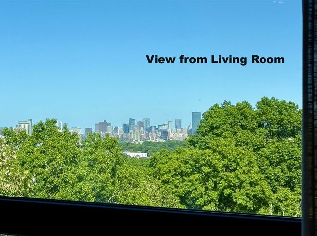 1 Nevins Hill Way 503, Boston, MA 02135
