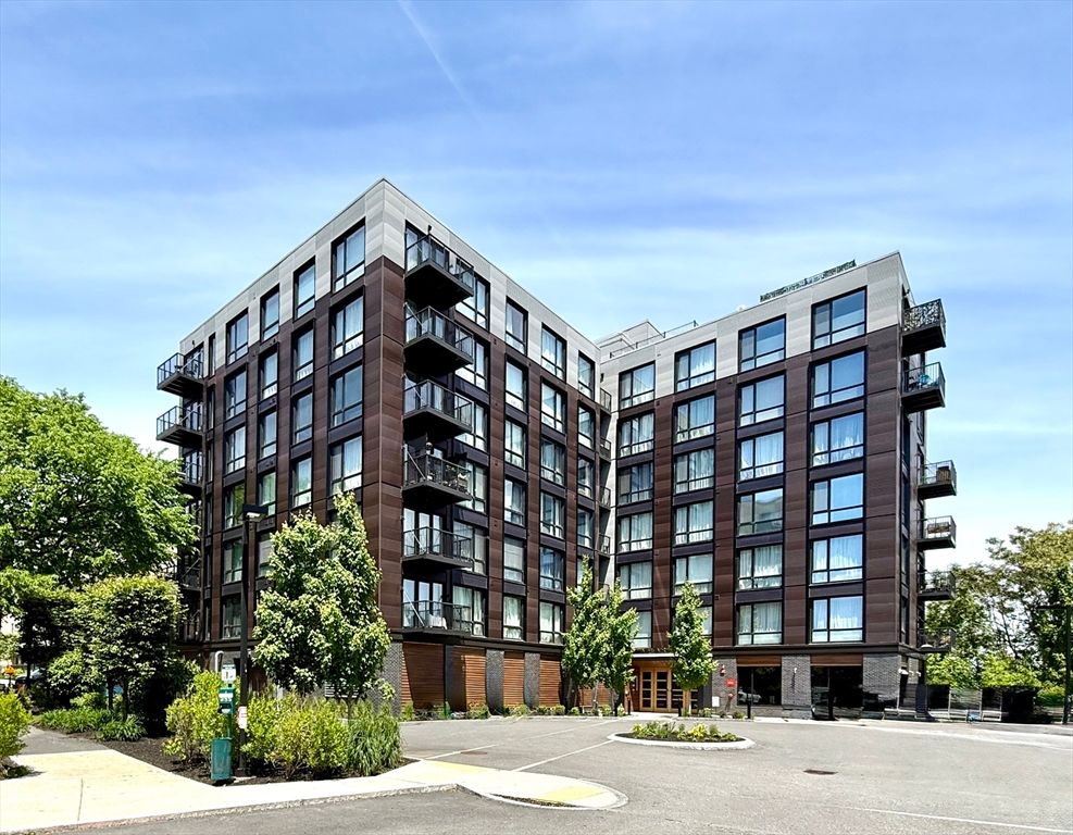 1 Nevins Hill Way 503, Boston, MA 02135