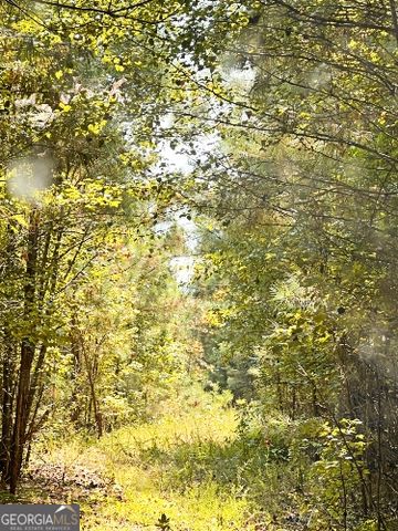 51 AC Rex Road, Stockbridge, GA 30281