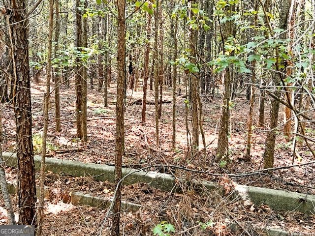 51 AC Rex Road, Stockbridge, GA 30281