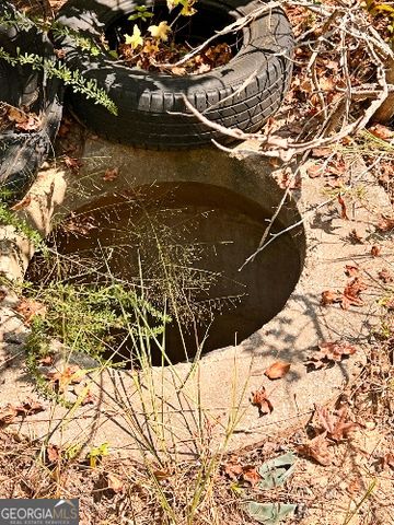 51 AC Rex Road, Stockbridge, GA 30281