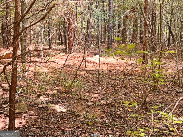 51 AC Rex Road, Stockbridge, GA 30281