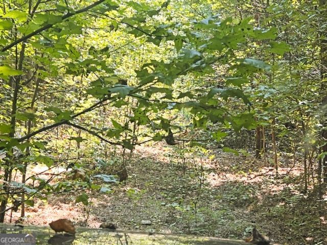 51 AC Rex Road, Stockbridge, GA 30281