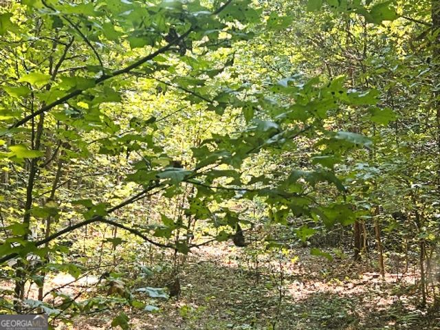 51 AC Rex Road, Stockbridge, GA 30281