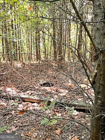 51 AC Rex Road, Stockbridge, GA 30281