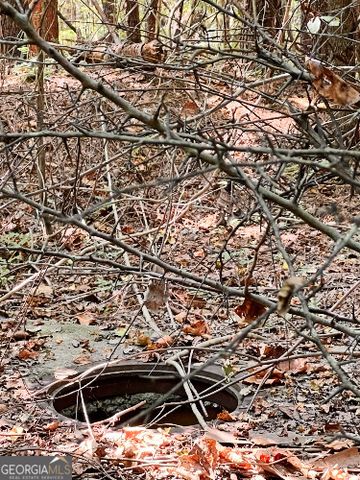 51 AC Rex Road, Stockbridge, GA 30281