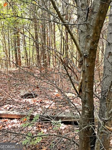 51 AC Rex Road, Stockbridge, GA 30281