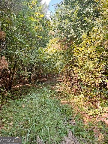 51 AC Rex Road, Stockbridge, GA 30281