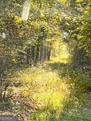 51 AC Rex Road, Stockbridge, GA 30281