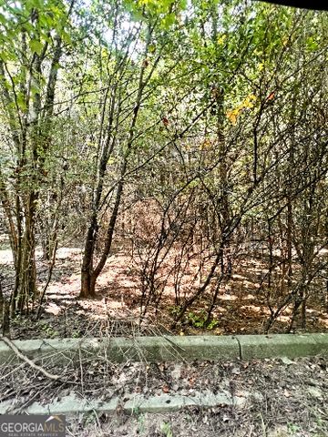 51 AC Rex Road, Stockbridge, GA 30281