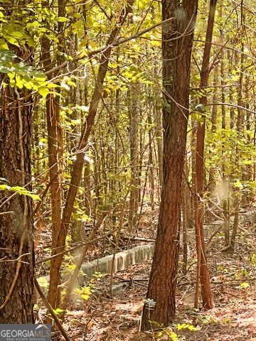 51 AC Rex Road, Stockbridge, GA 30281