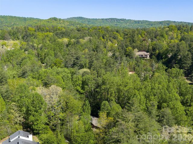 30 Kanuga Heights Lane, Hendersonville, NC 28739