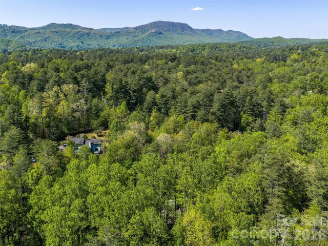 30 Kanuga Heights Lane, Hendersonville, NC 28739