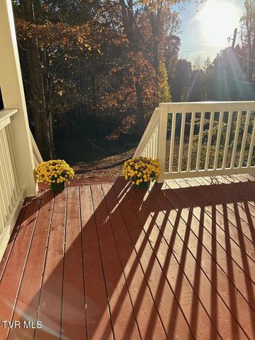 25568 Calima Drive, Abingdon, VA 24210