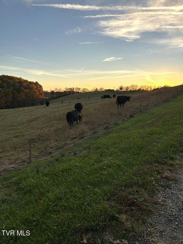 25568 Calima Drive, Abingdon, VA 24210