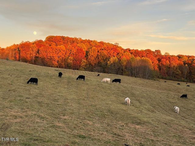 25568 Calima Drive, Abingdon, VA 24210