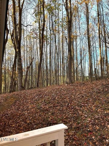 25568 Calima Drive, Abingdon, VA 24210