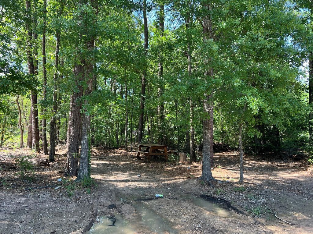 000 Three South, Splendora, TX 77372