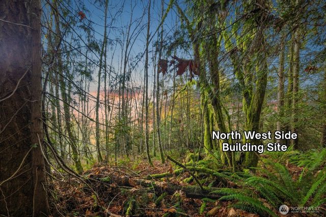 10202 200th Street NE, Arlington, WA 98223