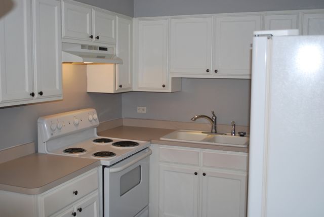 4309 W Park Lane Drive 3B, Alsip, IL 60803