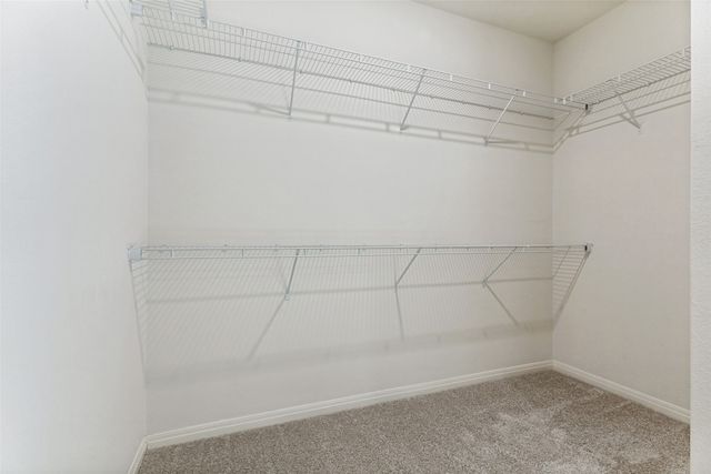 8220 Buck Mountain Pass, Fort Worth, TX 76179