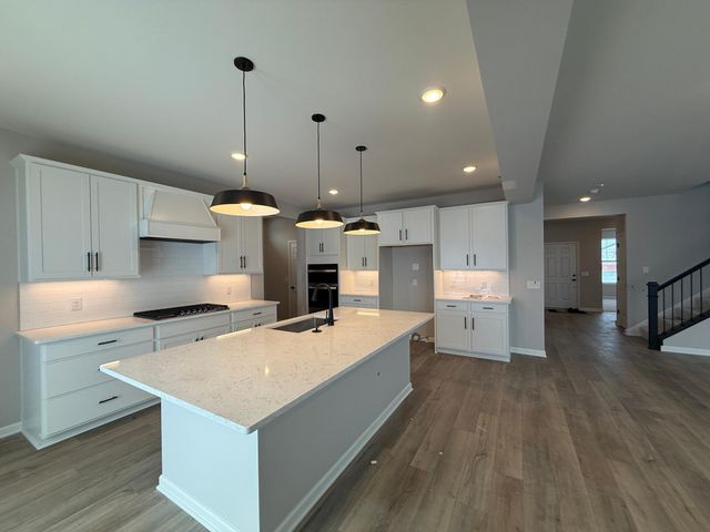 15012 Ashtown Lane, Rosemount, MN 55068