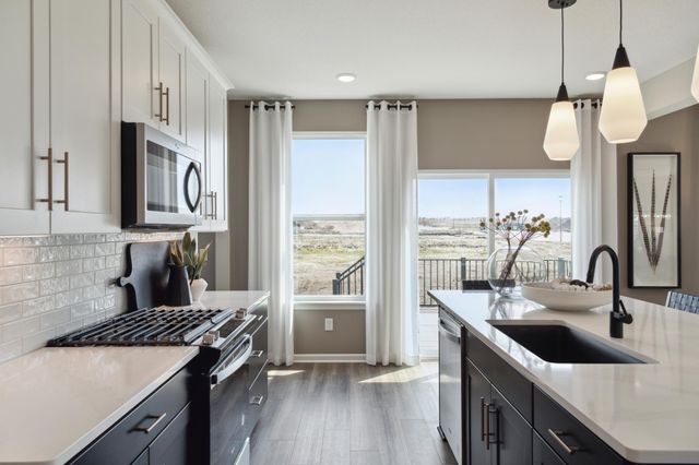 15012 Ashtown Lane, Rosemount, MN 55068