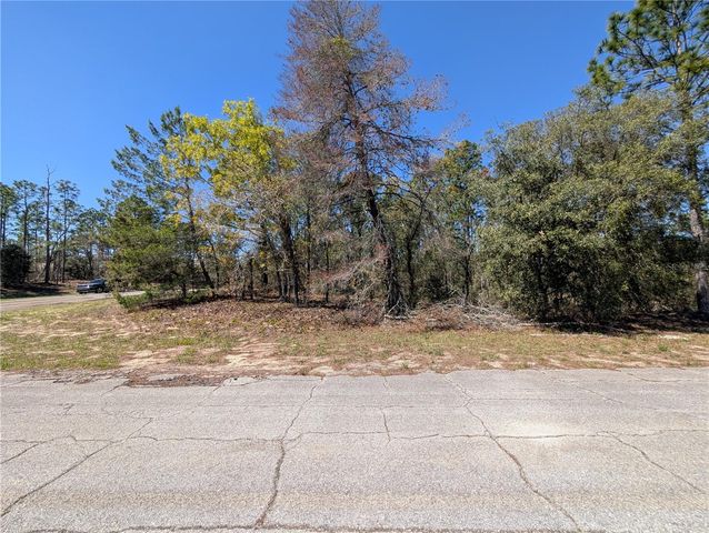 3099 W WILHELM STREET, Citrus Springs, FL 34433