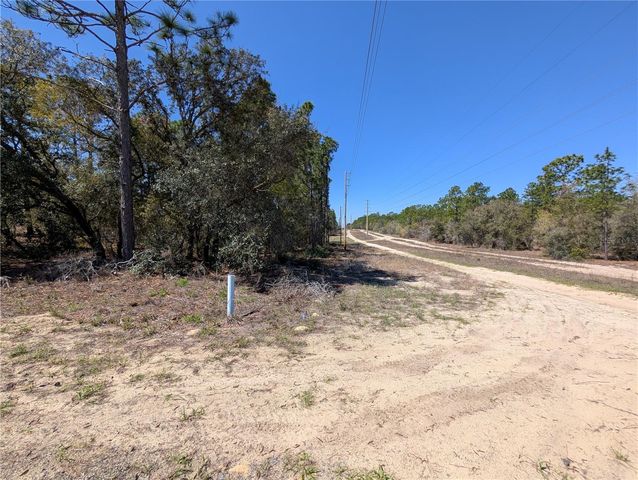 3099 W WILHELM STREET, Citrus Springs, FL 34433