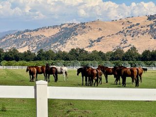 17281 E Belmont Avenue, Sanger, CA 93657