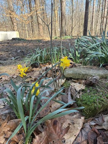 4687 N Pine Drive, Solsberry, IN 47459