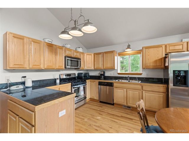 172 Rogers Rd, Bailey, CO 80421