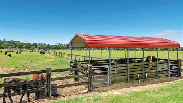 16750 SE 19TH COURT, Summerfield, FL 34491