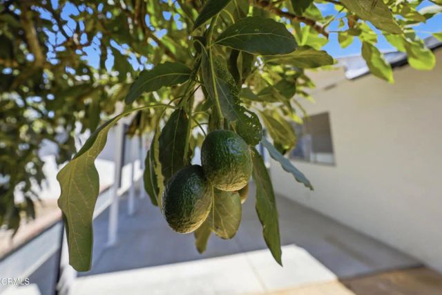 3631 La Costa Place, Oxnard, CA 93033