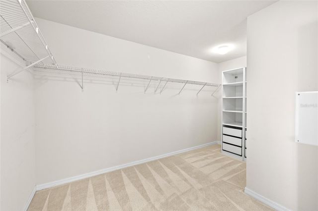 12208 MORGANS BLUFF PLACE, Riverview, FL 33579