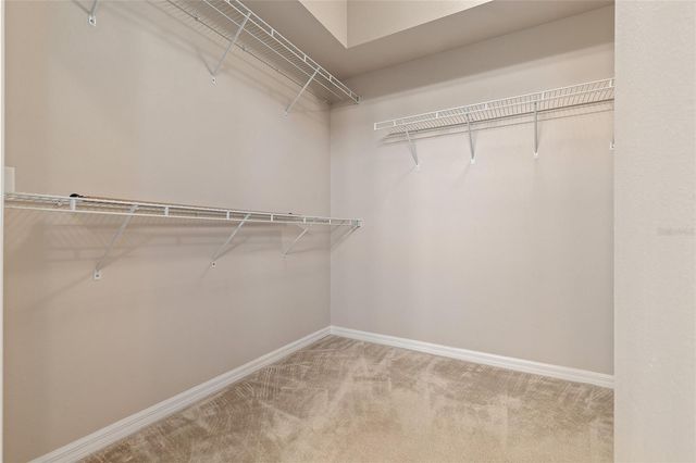 8328 PONKAN ROAD, Land O Lakes, FL 34637