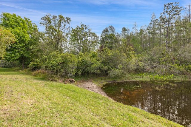 8328 PONKAN ROAD, Land O Lakes, FL 34637