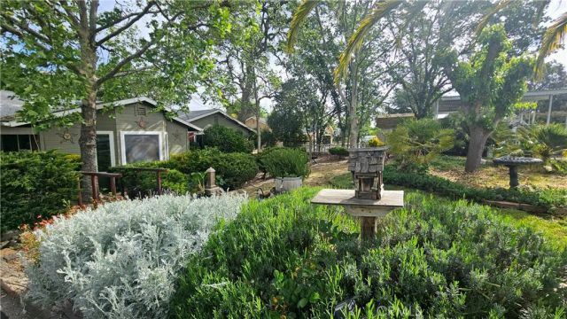 7835 Blue Moon Road, Paso Robles, CA 93446